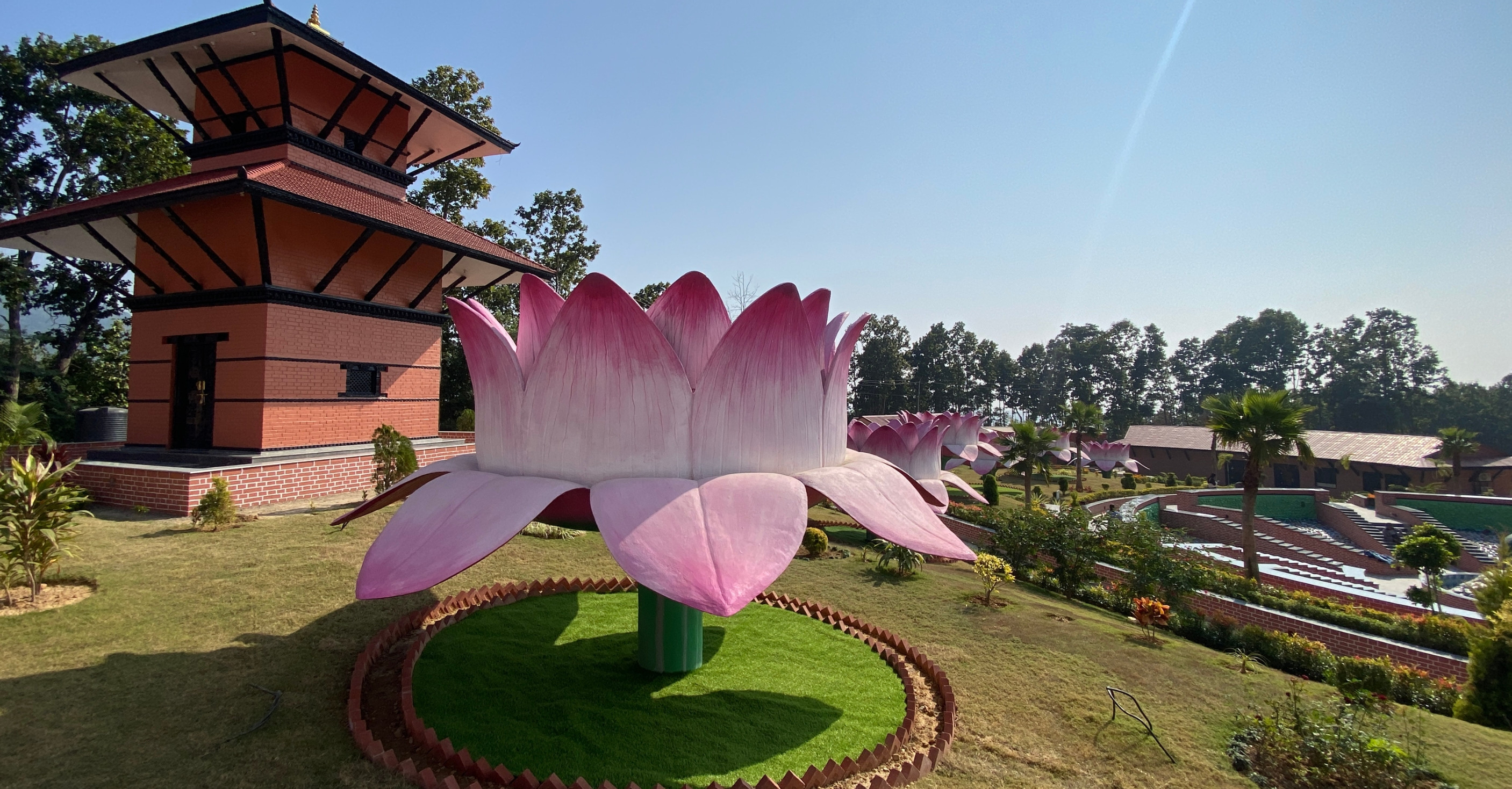  Lotus Garden 